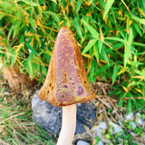 Ceramic Mushrooms Tinkling Toadstools for Garden Decor